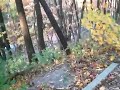 2nd Glen Forest Video