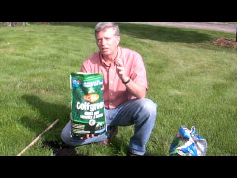 how to patch lawn