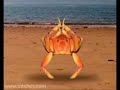 Crab Ballerina Crab Ballerina