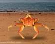 Crab Ballerina