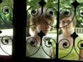 Chateau Picon (Part 1)