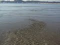 鎌倉材木座　和賀江島だんだん潮が上げてきました