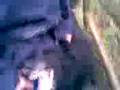videos de hund vs. ulv