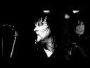 Still Not Black Enough - - - W.A.S.P Still Not Black Enough - - - W.A.S.P