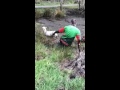 wales sheep shagging jokes tagalog wales sheep shagging jokes tagalog