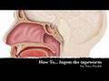 videos de Econ Tapeworm Commercial