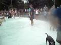 Taz at the pool