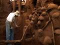 Ever Wondered What Ant Subterrain Structure's Looks Like?