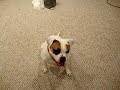MOV00873.MPG