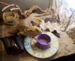 bearded-dragon-eatin