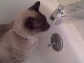 VID00022 VID00022