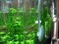 videos de Nano Cube 3lt.