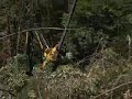 Timberjack 608S feller buncher 1
