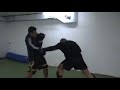 SPARING - DZENAN MUMINOVIC