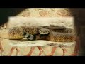 O Har�m - Prog. 03- Parte 02