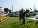 backflips