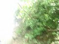 describe el sendero hacia la cascada del encanto, que se encuentra ubicada en la chorrerael indio