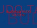 BUJINKAN CHILE BUDO TAIJUTSU