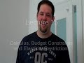 15a. Budget Constraint Elasticities (Calculus-Based)
