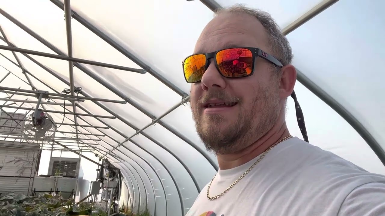 Grow A Giant Pumpkin - 9/6 patch update