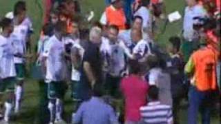 Vzonethethao1 - Cuu HLV truong Brazil 'xu' phong vien ngay tren san