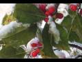videos de The Snow - Silent Night