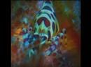 Drama - Cuttlefish