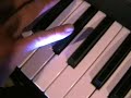 Octave Plateau Cat Family -4