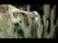 Taylor Swift - Love Story