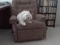 Brenhin and I play at home