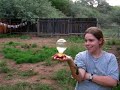 Hummingbird Swarm, Part Three