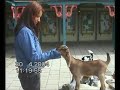 Sprookjesbos Enkhuizen 2004