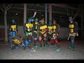 les fabuloses tortugues ninja diezelo