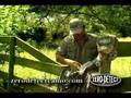 We Use It: Zero Detect Camo