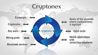 What is Cryptonex?