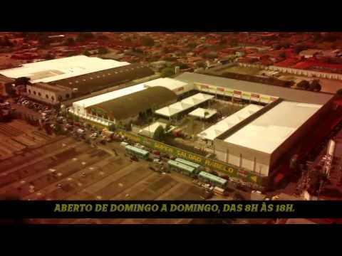 Imagem de Amostra do You Tube