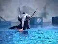 Dolphine Show ??????