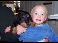 Puppy Collection