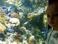 Zoya enjoying coral reef