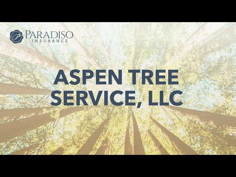 how to fertilize aspens