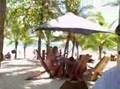 Costa Rica Day 2, part 1- Playa Avellanas and the HUGE bug