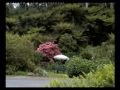 Tarra Valley Road Gippsland Victoria Australia Tarra Valley Road Gippsland Victoria Australia
