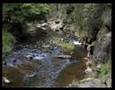 Tarra Valley Road Gippsland Victoria Australia