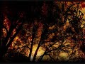 A Black Rose Burial - A Baleful Aura... (Lyrics & Subtitles) [Español]