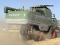 Tres cosechadoras FENDT cosechando en Guadalajara