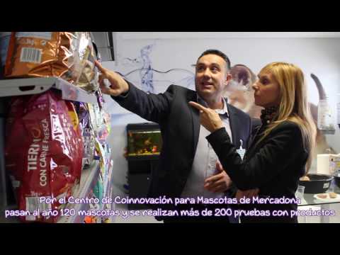 Imagen de previsualización de YouTube