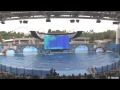 Shamu Believe Show at SeaWorld Orlando