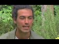 Geoambiente - Agricultura Orgánica (1) Geoambiente - Agricultura Orgánica (1)