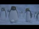 (400 comments later...surf's up is 1 year old)
at an average 4-500 views a day, its been a huge success...
surfs up is an animated movie by sony
pictures and is out on dvd and blue-ray now! go get it!! 
surf's up sadly lost it's oscar to ratatouille but because it made it so far  it proves that surf's up was, and still is a great film.
this is sony pictures animation's second film, the first one being open season.
*copyright sony pictures animation 2007*