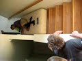 Stair Surfing Failure Stair Surfing Failure